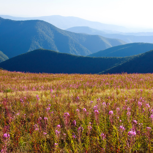 Nature panorama, beautiful  landscape in Carpathian mountains